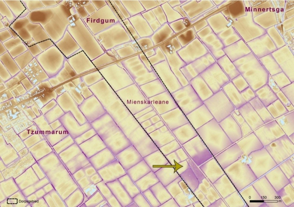 De pijl geeft de ligging aan van een geulrestant in de Firdgumer Mieden. Het laaggelegen perceel tussen de Mienskarleane en de dorpsgrens is tijdens de ruilverkaveling ingeplant met bomen. Verder is goed te zien dat het miedengebied ten zuiden van de kwelderwal met daarop de Firdgumer terpen een stuk lager is.