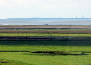noard-fryslan-butendyks-met-op-de-voorgrond-een-drinkdobbe-voor-het-vee