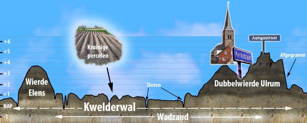 Wierden omgeving ulrum