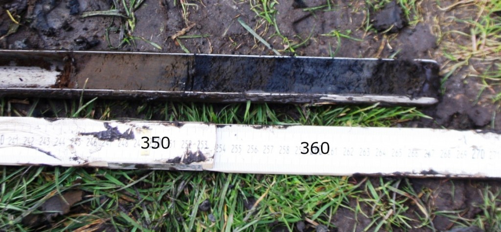 Figuur 4. Verschillende mestlagen rond een diepte van 350 cm in boring 4.