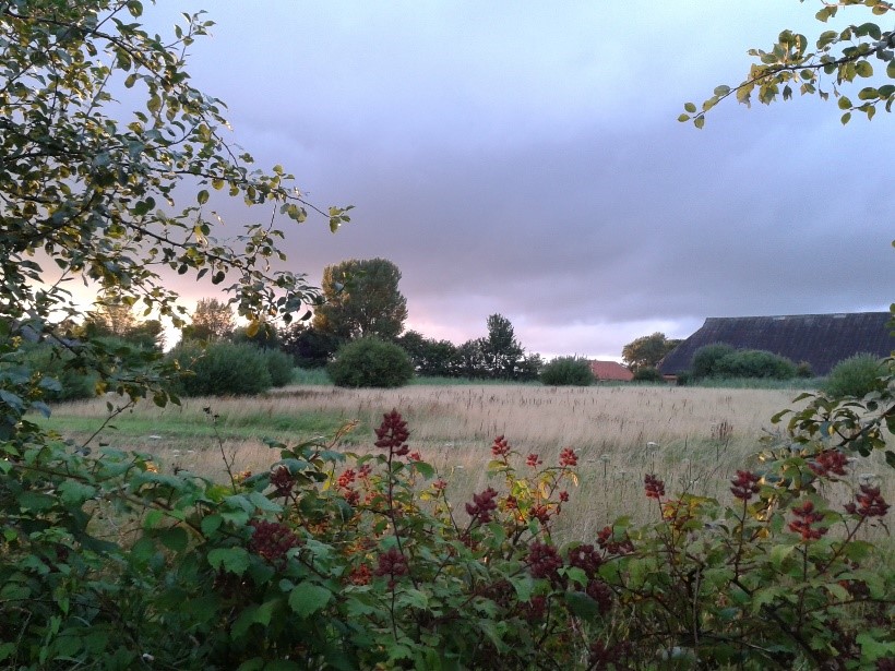 De plek waar eeuwenlang het klooster heeft gestaan ademt nog steeds een bijzondere sfeer uit, vanwege het reliefrijke terrein, de verruigde percelen rondom en de opgestapelde kloostermoppen die her en der langs de oprit kunnen worden aangetroffen. (foto’s: Jeroen Wiersma)